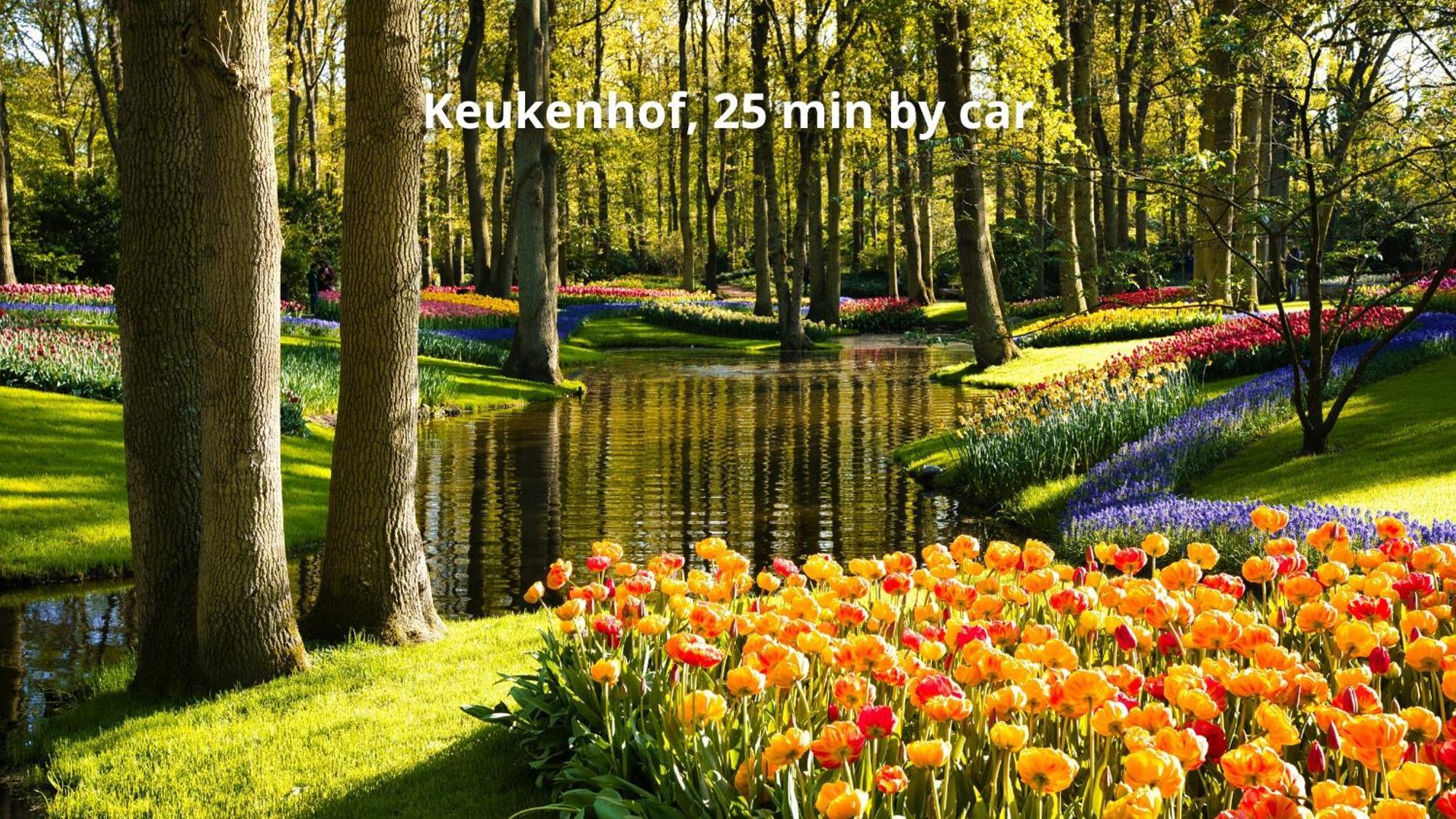 Boutique Hotel Herbergh Amsterdam Airport Free Parking Badhoevedorp Eksteriør billede
